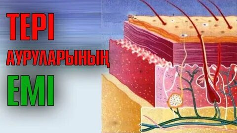 Ресейдің сексуалды жүргізушісі