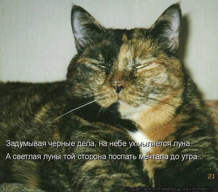 черные дела на небе ухмыляется. черные дела на небе ухмыляется. черные дела на небе ухмыляется. задумывая черные дела. упоротая принцесса луна.