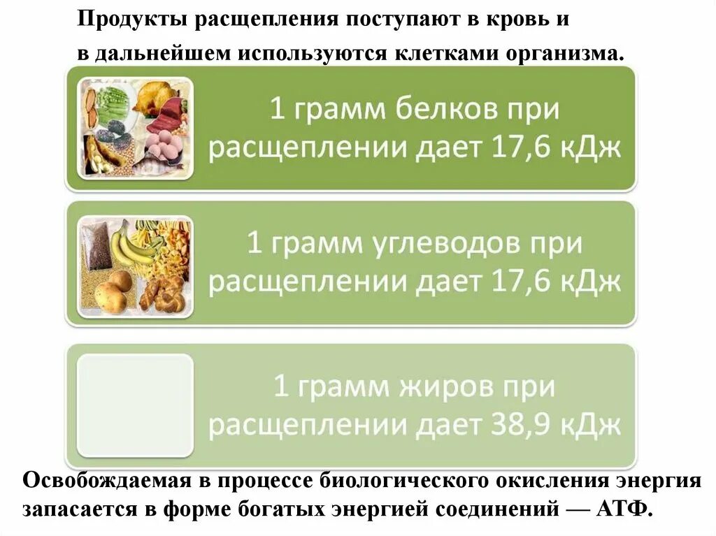 При расщеплении освобождается энергия. Сколько энергии выделяется при расщеплении 1 г углеводов. при расщеплении 1 г углеводов выделяется. сколько энергии выделяется при расщеплении 1 г белка. сколько энергии выделяется при расщеплении 1 грамма белка?.