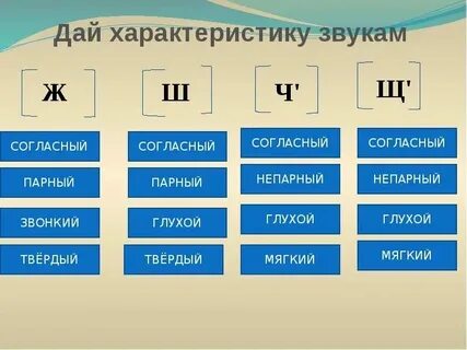 Почему ш твердая