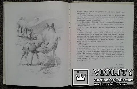 Монгол рассказы рассказы о жизни