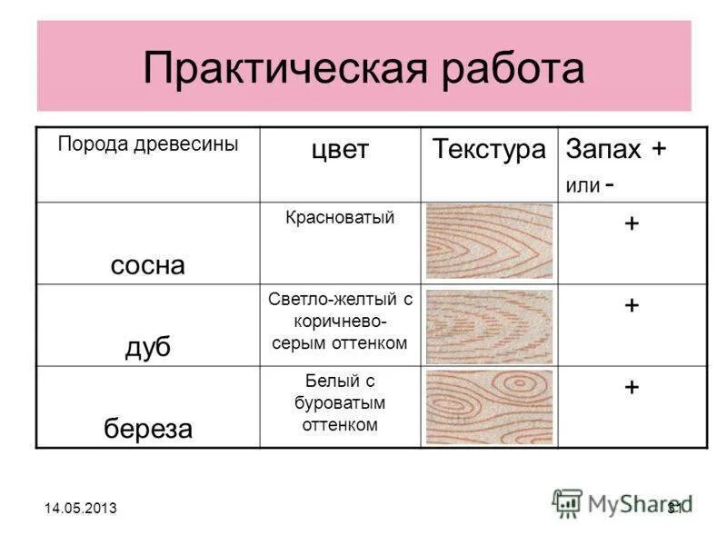 Породы древесины. Образцы древесины. Лиственные кольцесосудистые породы древесины. Определение пород деревьев. Цвет древесины разных пород.