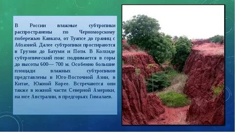 Полезные ископаемые субтропиков