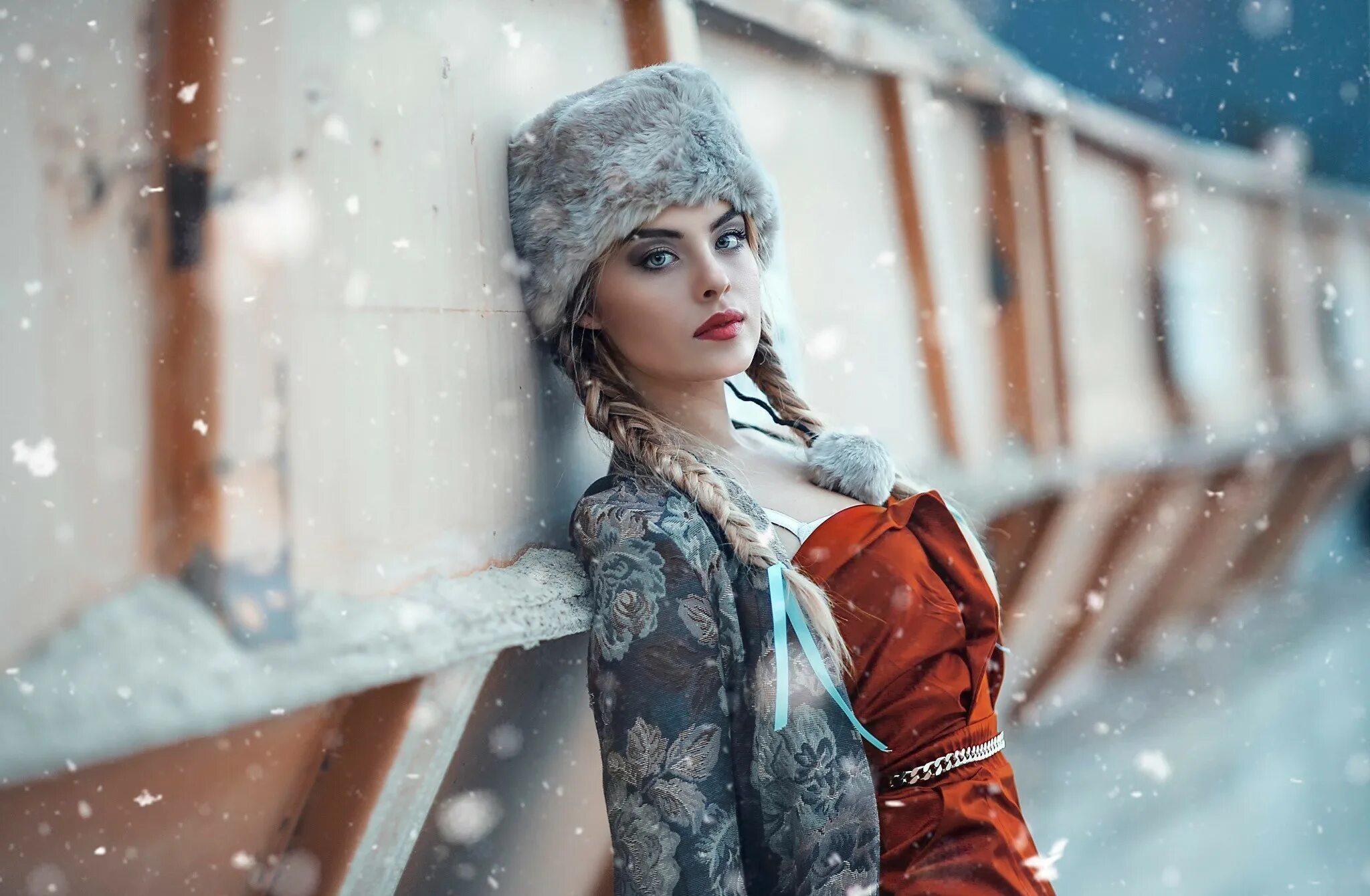 Snow model