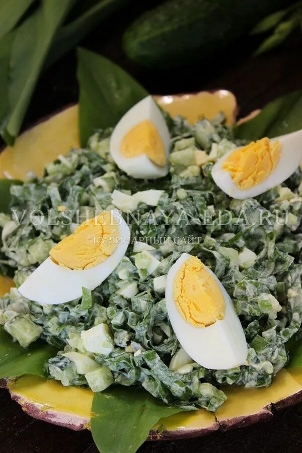 Салат с черемшой. Салат зеленый с огурцами. Салат с черемшой и яйцами. Салат из черемши с яйцом и майонезом. Салат из черемши с яйцом.