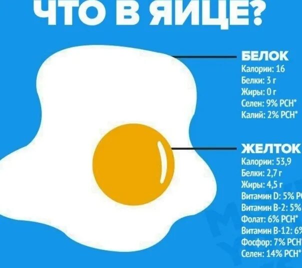 Белка в 1 яйце с0. Сколько белка в яйце. Белков в яйце. Белок в одном яйце. Количество белка в яйце курином.