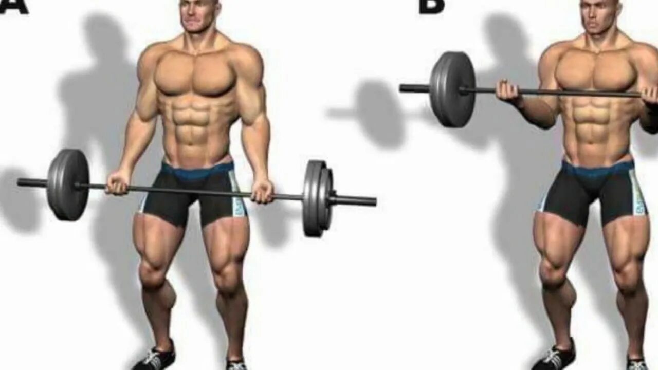 How to get big