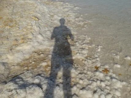 Мертвое море кто живет