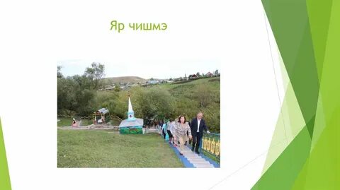 Проект туган