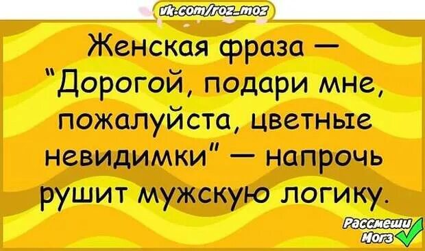 Фраза дорогая редакция. Цветные невидимки прикол. Приколы женские про невидимки. Невидимка прикол.