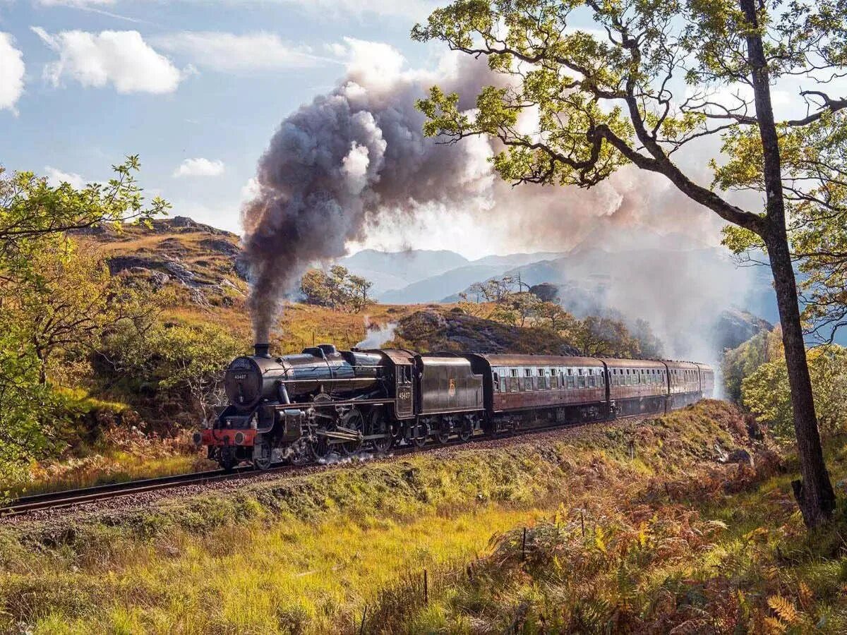 When the trains