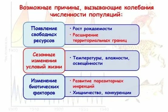 Причины изменения численности популяции в экосистеме. Факторы вызывающие изменения численности популяции. Причины численности популяции. Причины колебания численности популяций. Причины изменения численности особей в популяции?.