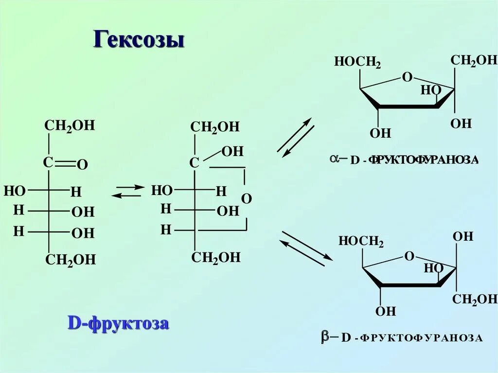 Номер фруктозы. Моносахариды гексозы формула. Гексозы с общей формулой. Пентозы и гексозы. Глюкоза гексоза.