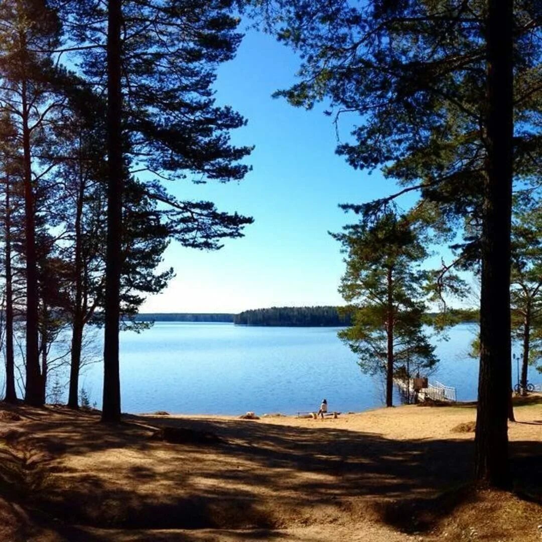 База отдыха озеро зеркальное. Лагерь зеркальный спб. Ленинградская область база отдыха озеро зеркальное. Озеро зеркальное ленинградская область фото. Оз зеркальное ленинградская область.