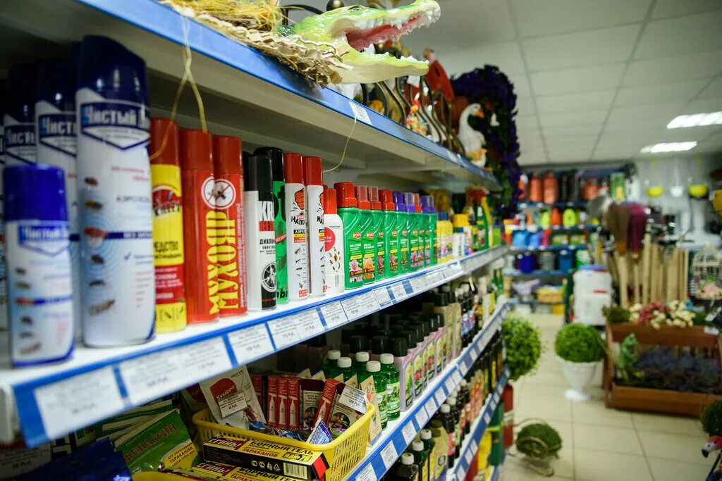 Мегагрядка брянск. Семена брянск магазины. Грядка брянск каталог товаров брянск. Мегагрядка брянск. Грядка магазин брянск.