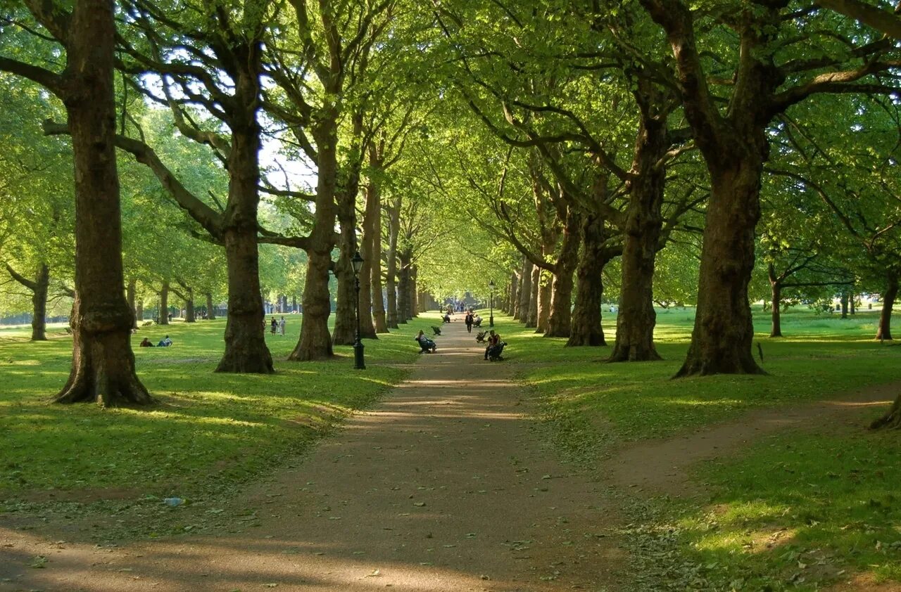 Грин парк Лондон. Грин парк в Лондоне фото. Парк Сноу Англия аллея. Hyde Park Германия.