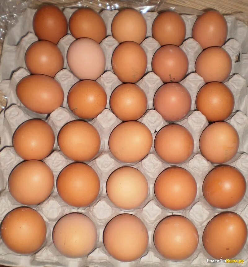 Яйцо 1 клетка. Яйца с0 с1 с2. Яйца с1 и с2. 2 Яйца. Яйцо домашнее куриное.