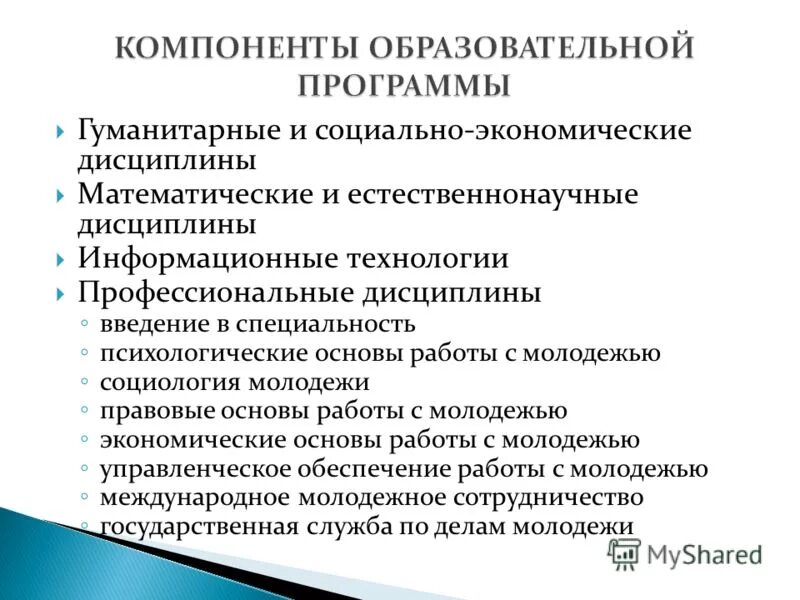 Технологии работы с молодежью. Основы работы с молодежью. Основы работы с молодежью. Основы работы с молодежью. Организация работы с молодежью.