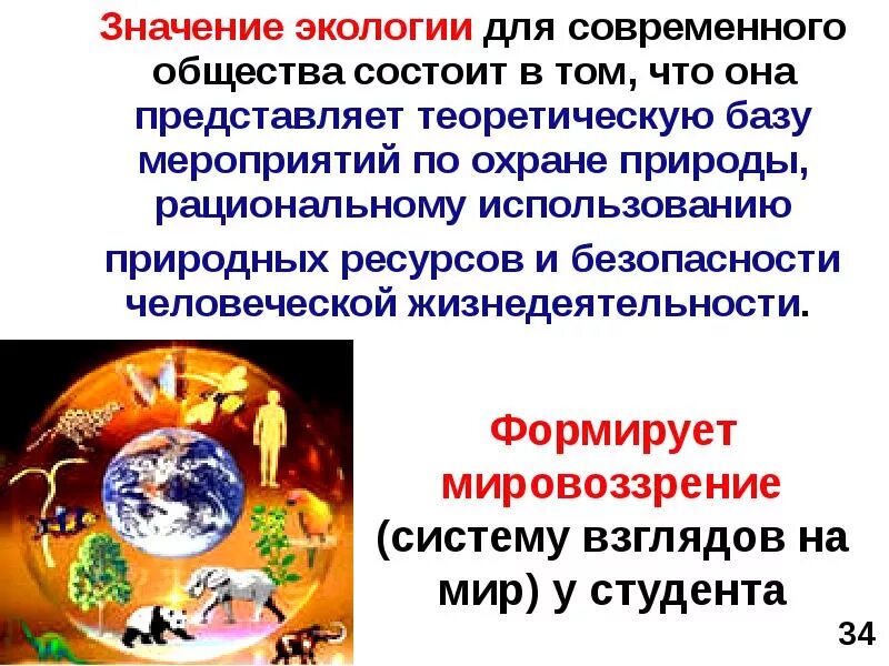 Значение экологии в жизни человека огромно. Роль экологии в современном обществе. Значимость экологии. Роль экологии в современном мире. Роль экологии в современном обществе кратко.