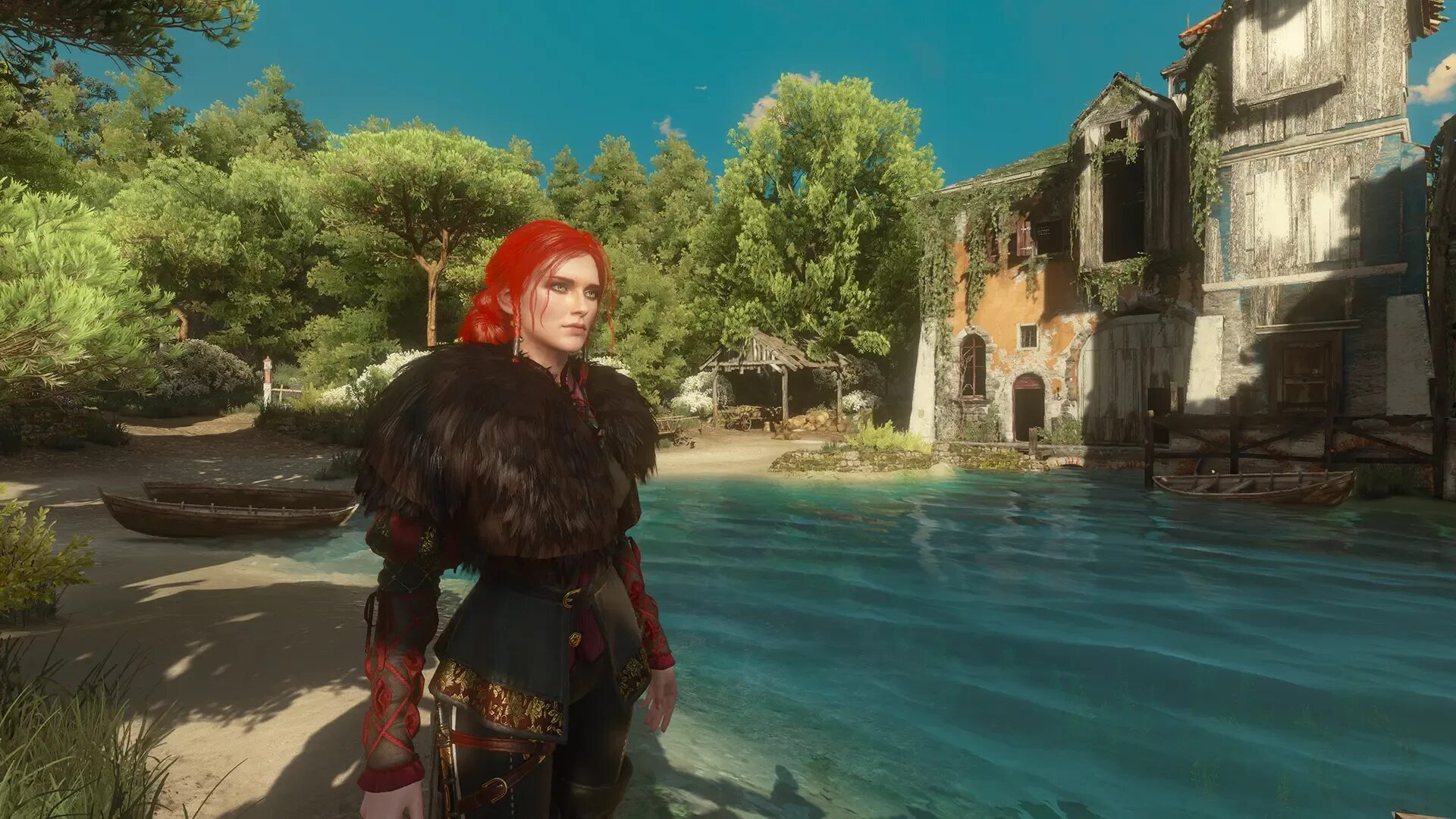 The witcher mod manager
