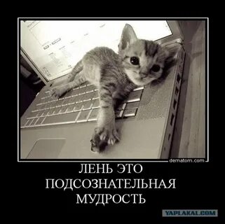 Включи говорящая лень