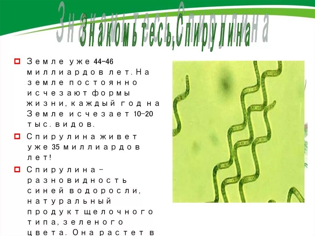 Он постоянно исчезает. Цитаты про войну со смыслом. Цитаты про прошлое со смыслом. Он постоянно исчезает. Он постоянно исчезает.