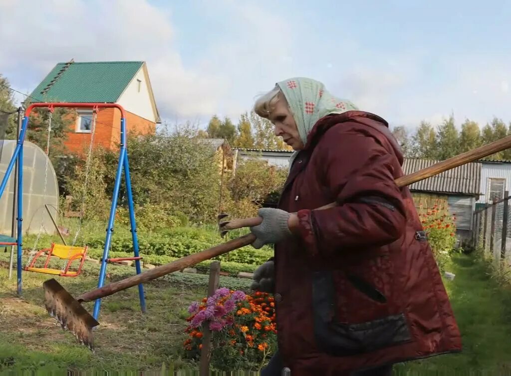 Как использовать в садоводстве. Как использовать в садоводстве