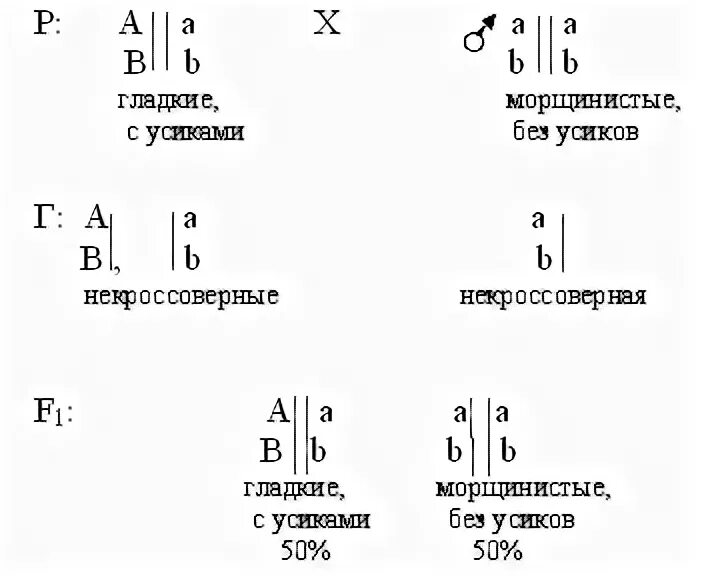 Задачи по генетике гладкие морщинистые. Генотип первого растения с усиками. Генотип гороха с усиками. Усики у гороха генотип.