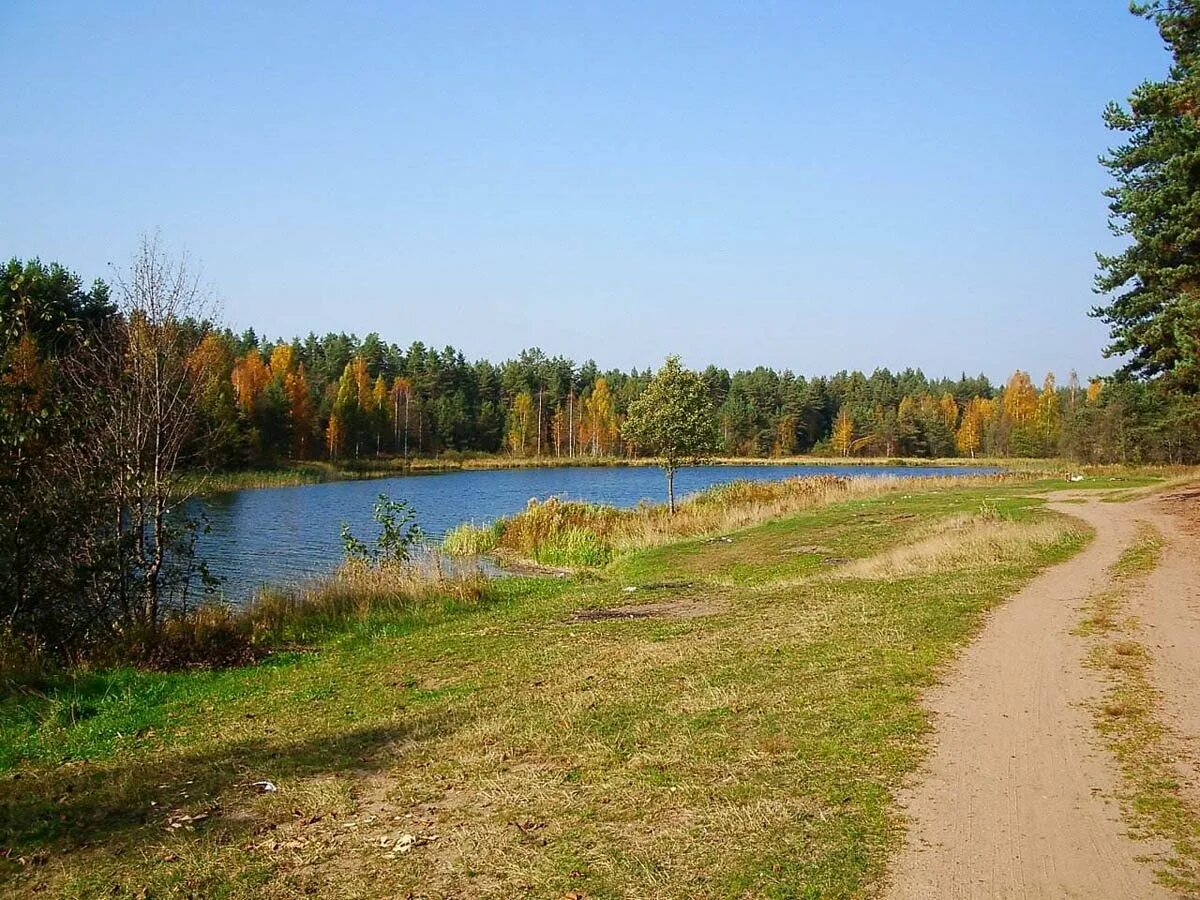 Парки новгородской области. Валдайский национальный парк. Валдайский заповедник Новгородской области. Национального парка Валдай. Валдайская возвышенность заповедник.