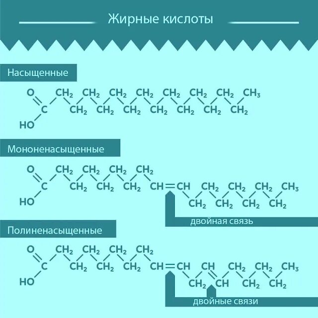 Насыщенные жирные кислоты что это. Насыщенные и ненасыщенные жирные кислоты. Полиненасыщенные жирные кислоты строение. Насыщенные, ненасыщенные, полиненасыщенные жирные кислоты. Ненасыщенные жирные кислоты формулы.