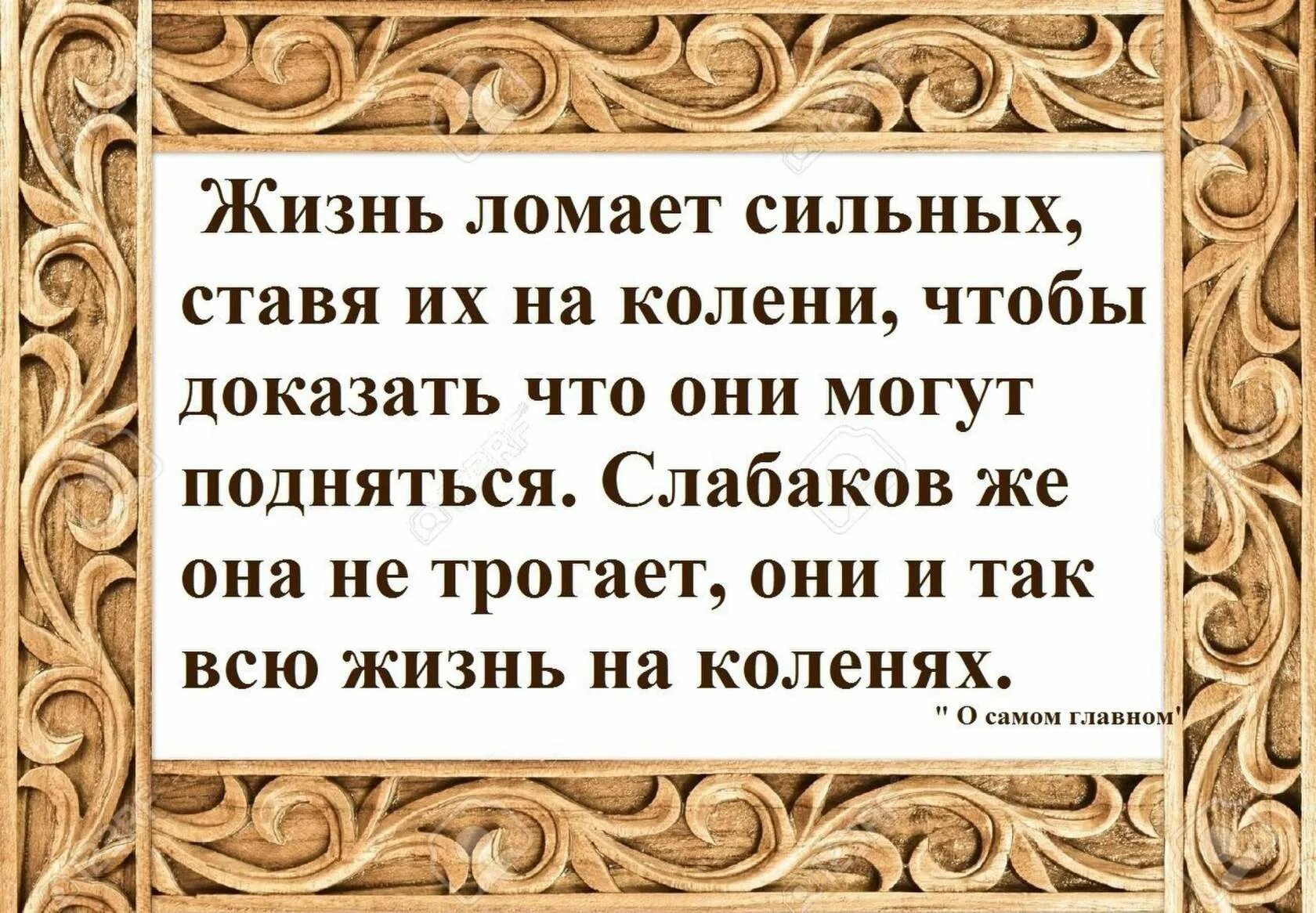 Жизнь она сильней. Жизнь ломает. Жизнь ломает сильных ставя их. Жизнь ломает сильнейших ставя их на колени. Жизнь ставит на колени сильных чтобы.