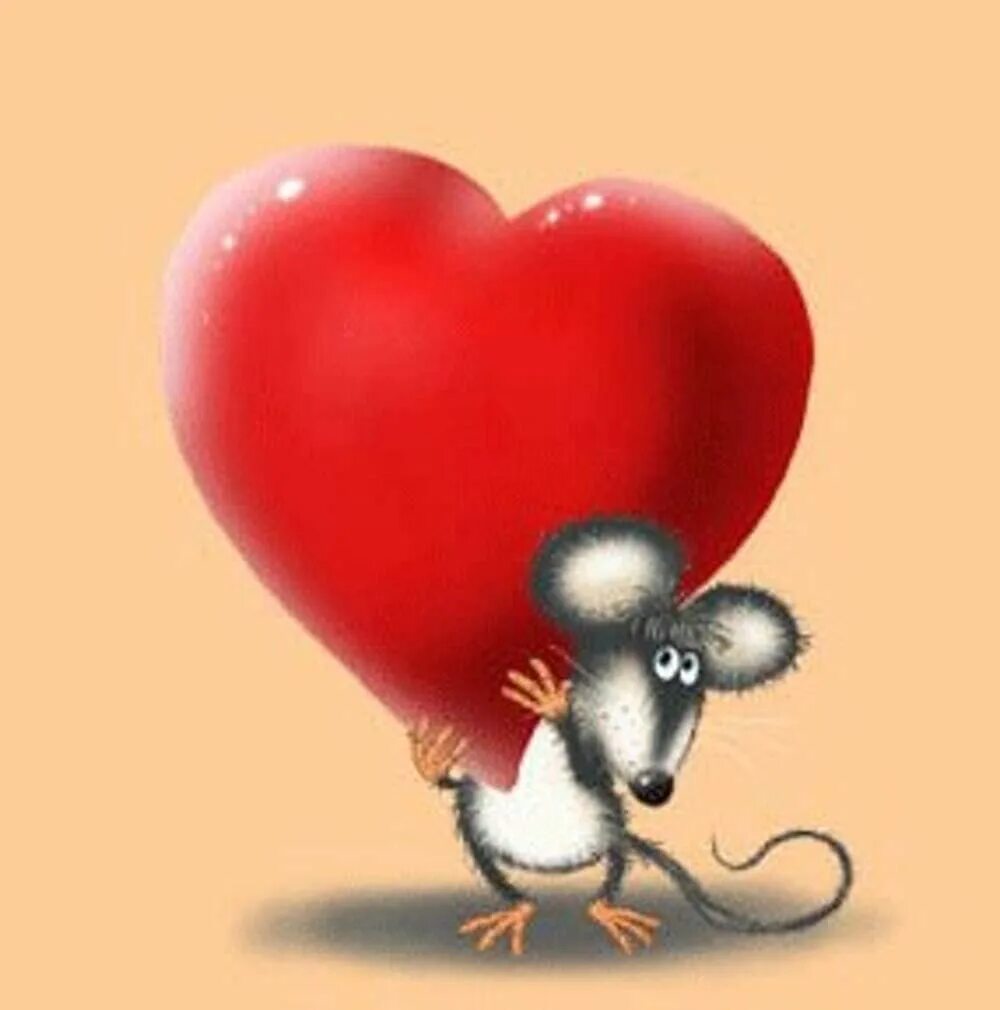 Мышка с сердцем. Мышка с сердцем. Сердце мышки. Компьютерная мышь "сердце". Сердце мышки.