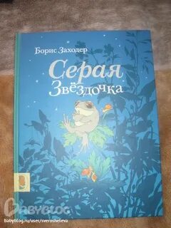 Заходер серая звездочка краткое