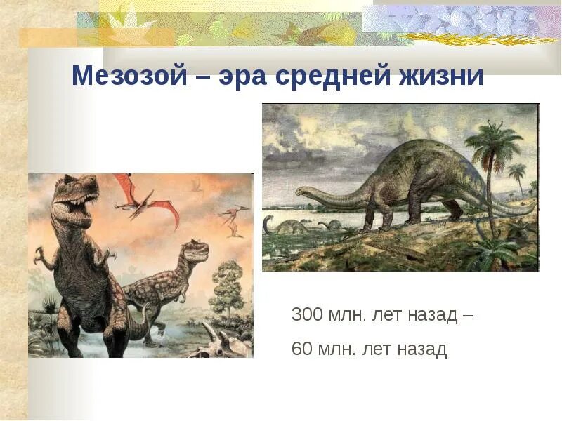 В какую эру возникла жизнь