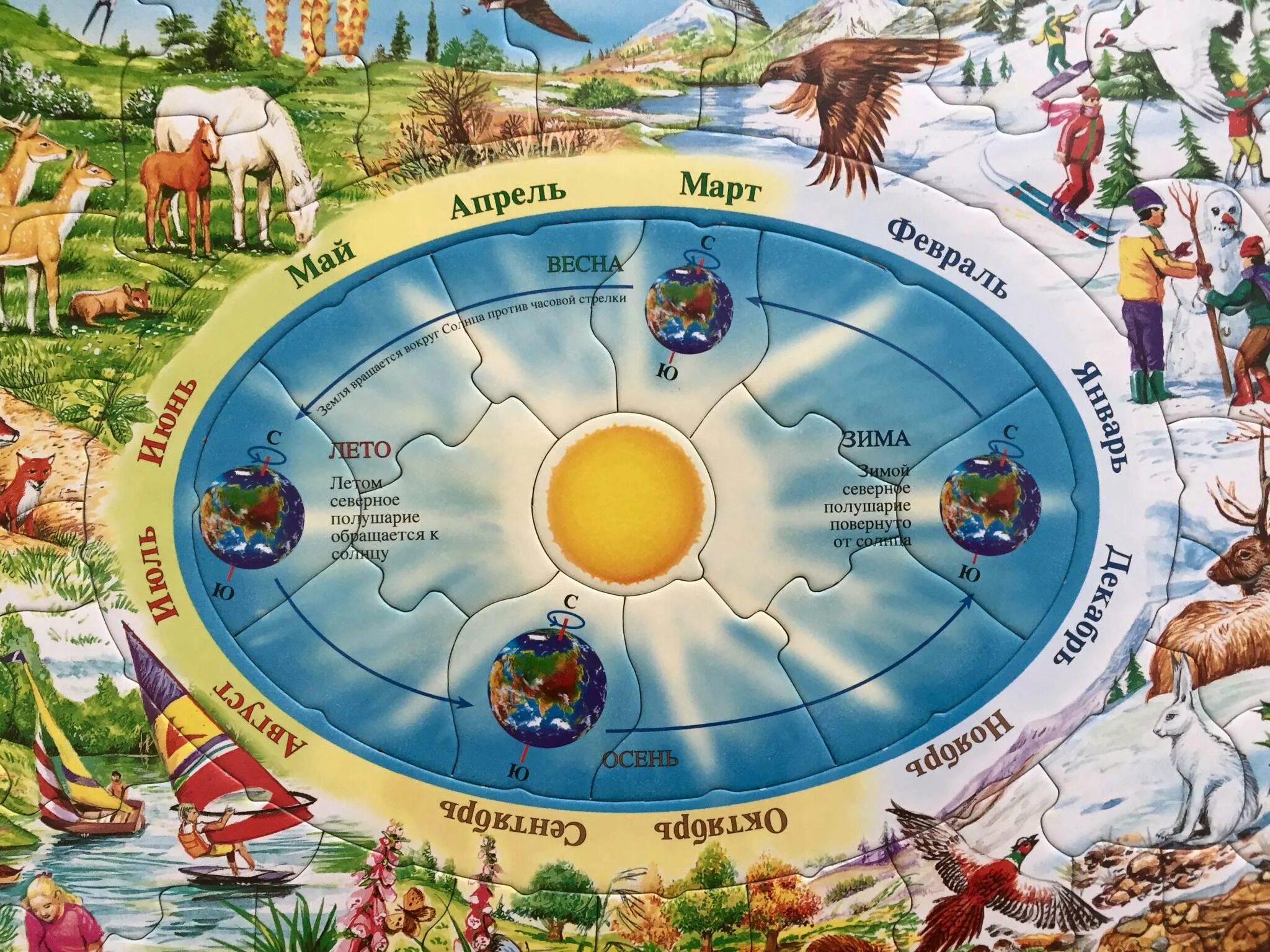 Сколько круглый год. Времена года для детей. Смена времен года для детей. Времена года для дошкольников. Смена времен года для дошкольников.