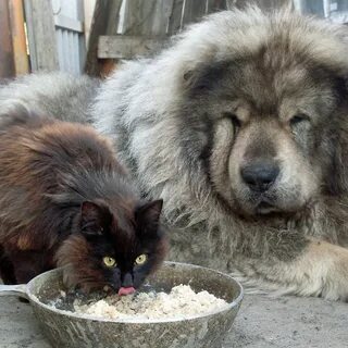 Редко сплю