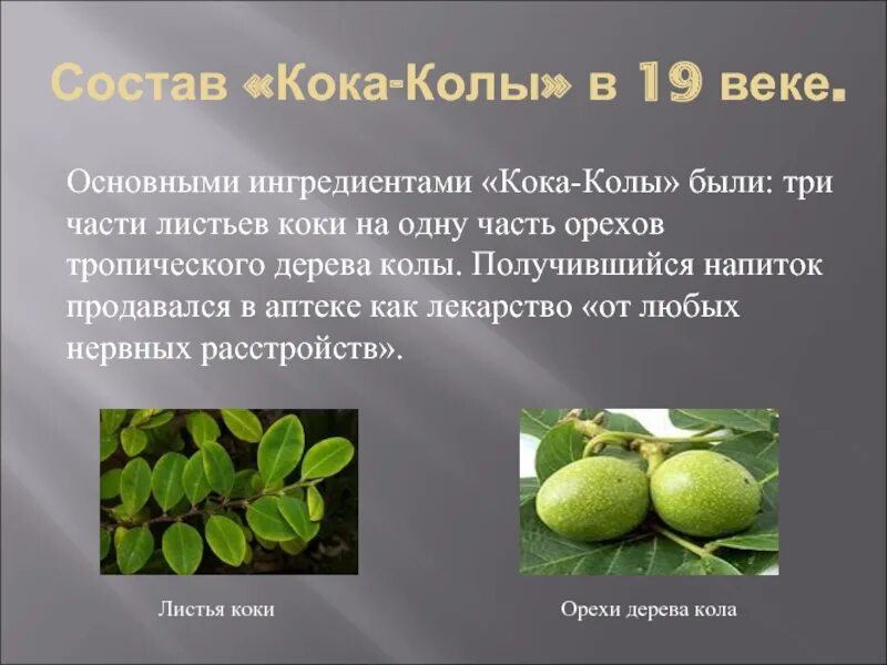 Коки значение. Листья коки. кокаиновые листья. листья кокки. листья коки и орехи колы.