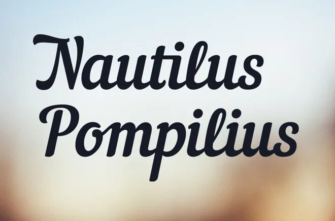 Шрифт наутилус. Шрифт похожий на Наутилус Помпилиус. ,Шрифт Nautilus Pompilius шрифт. Nautilus Pompilius Regular.