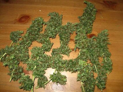 Grow many