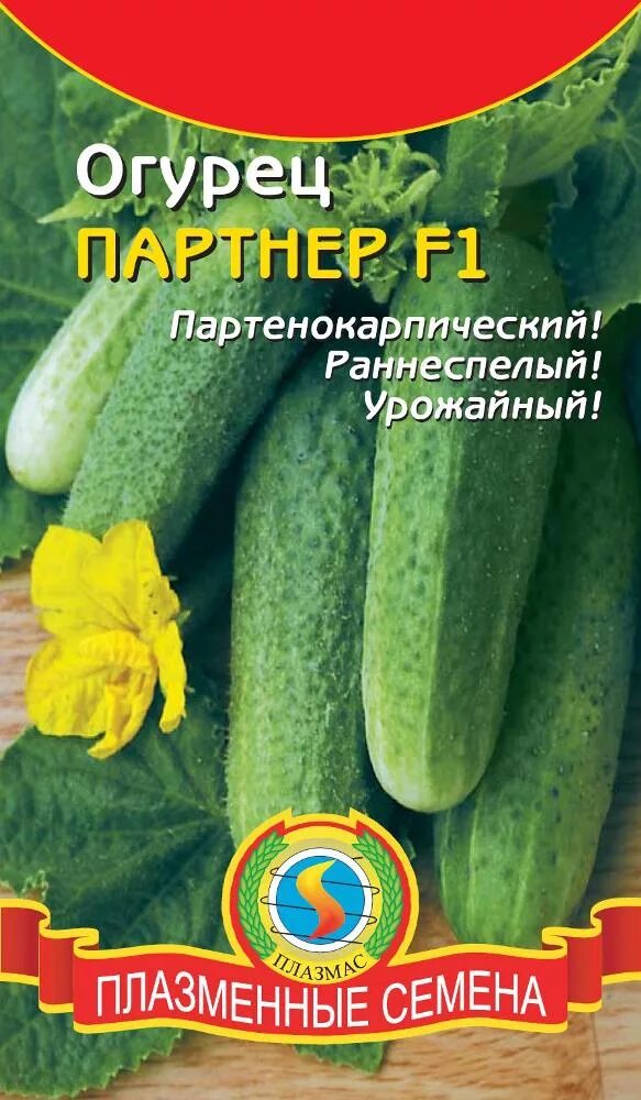 Фирма партнер сорта огурцов. Огурец партнер f1. семена огурца. огурцы партнер сорта. семена партнер огурцы.