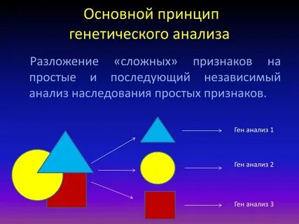 Генетика помогла