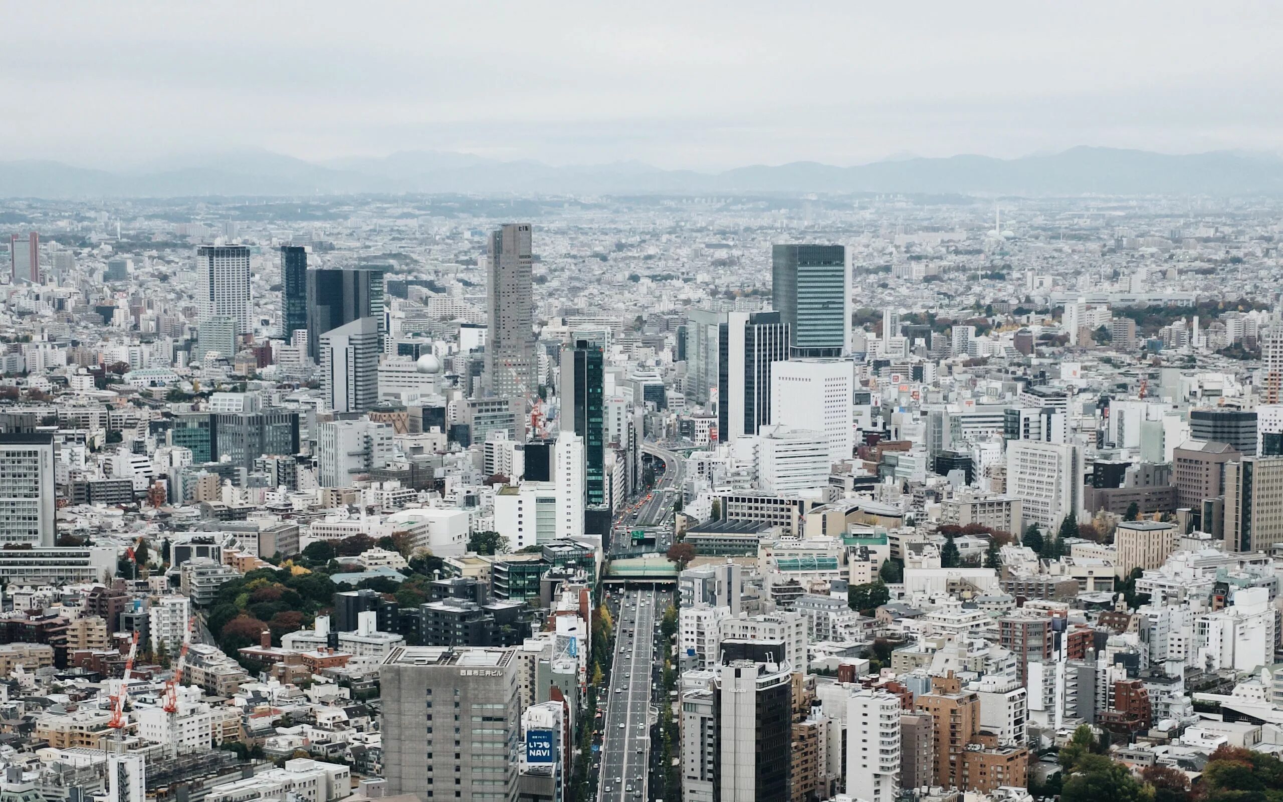 Tokyo white. Токио вид сверху. Токио небоскребы. Город сверху. Сокио вид с верху.