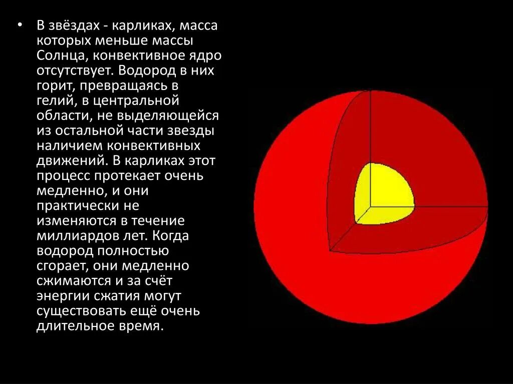 5 звезд карликов. Строение звезд. Строение красных карликов. Масса конвективной звезды. Внутреннее строение звезд.