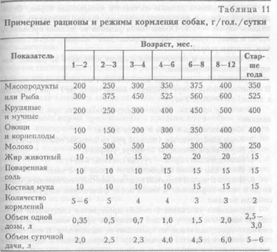 Рацион питания щенка немецкой овчарки в 1 мес. Нормы кормления щенков 2 мес немецкой овчарки. Рацион питания щенков немецкой овчарки таблица. Рацион питания для щенка немецкой овчарки 2 месяца. Сколько надо кормить собаку