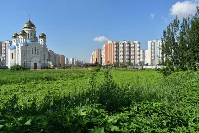 Погода в москве некрасовка. Парк у храма в некрасовке. некрасовка парк у церкви. парк на рождественской улице в некрасовке. парк на полукруге в некрасовке.