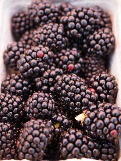 Black fruit