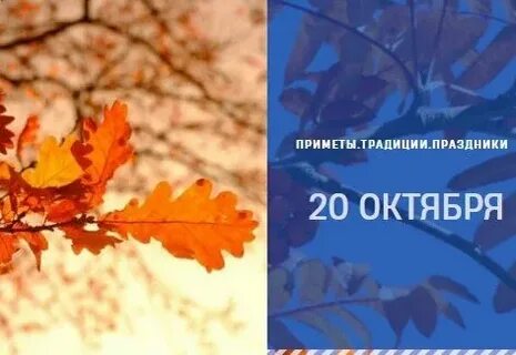 Какой день отмечается 20 октября