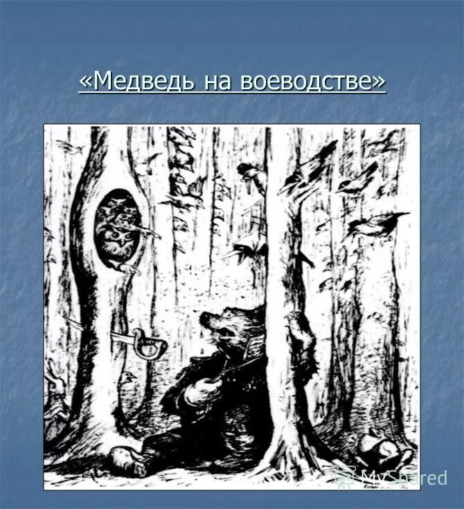 Медведь на воеводстве содержание. Медведь на воеводстве содержание