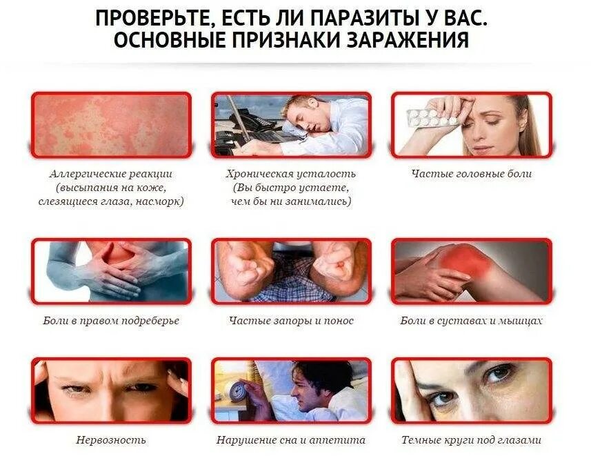 Как понять что в тебе паразиты