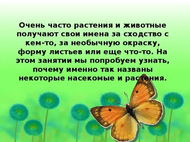 Чтобы узнать какие цветы взяли